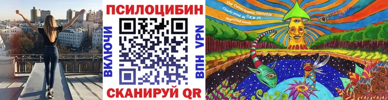 Псилоцибиновые грибы мухоморы  наркошоп  shop наркотические препараты  Ессентуки 